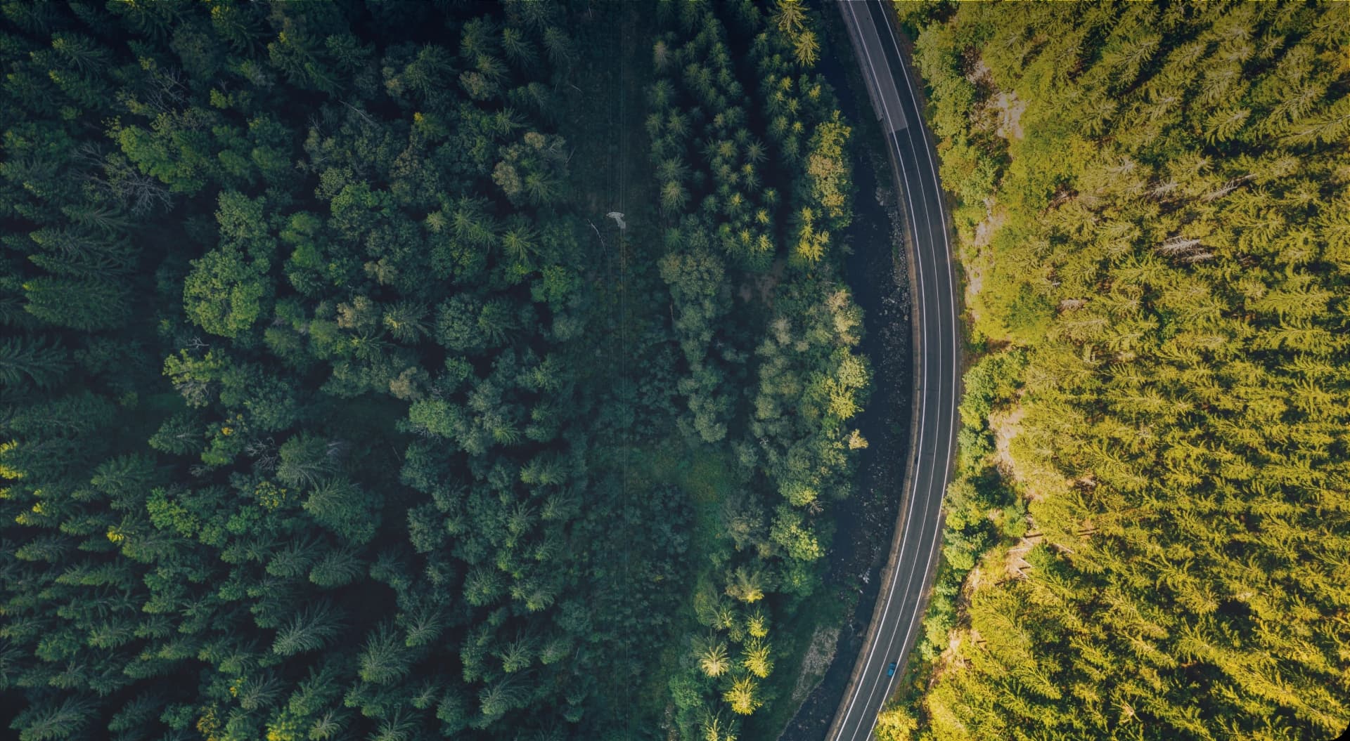 Descubre el nuevo turbus.cl más fácil, más rápido