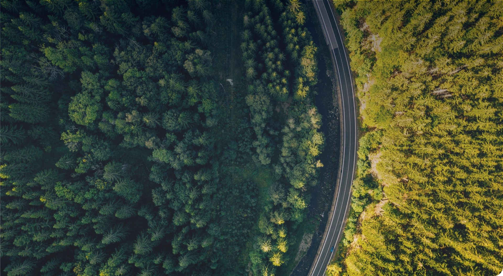 Descubre el nuevo turbus.cl más fácil, más rápido